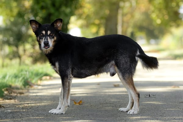 KIMBALOU
