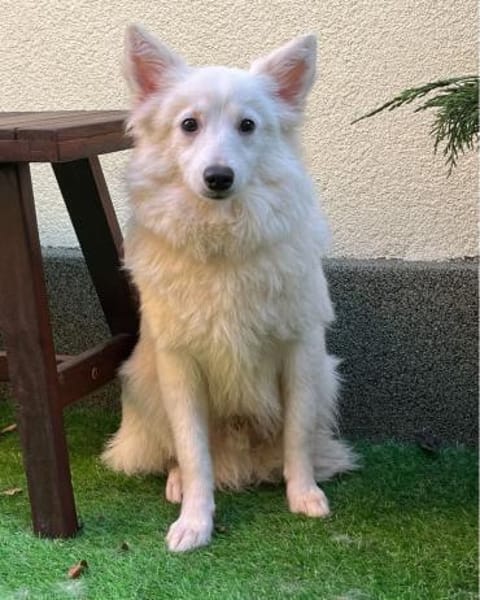 Timm SR, freundlich, etwas schüchtern