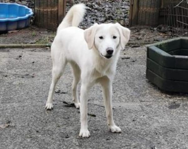 Möchtet ihr unser Elfchen Taina besuchen