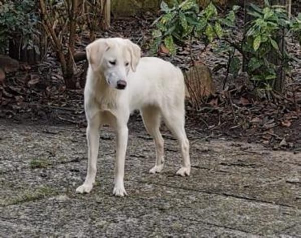 Möchtet ihr unser Elfchen Taina besuchen