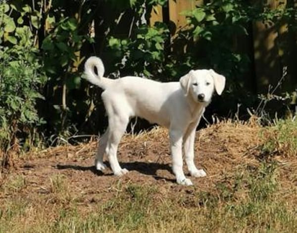Möchtet ihr unser Elfchen Taina besuchen