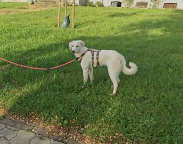 Möchtet ihr unser Elfchen Taina besuchen