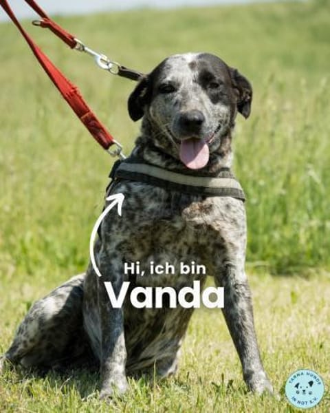 Vanda SI, liebevoll und freundlich
