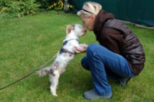 EDDI - Kleiner Mann mit Handicap