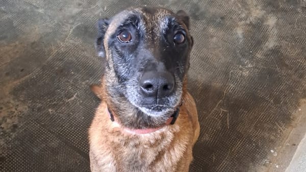 XENA
