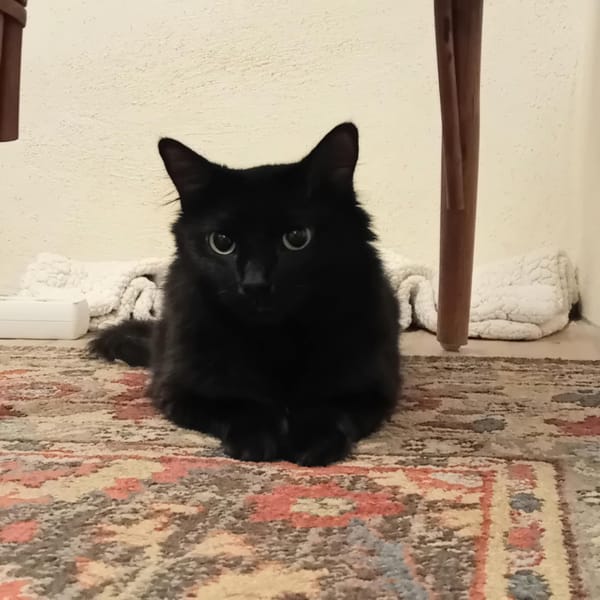 ABBY