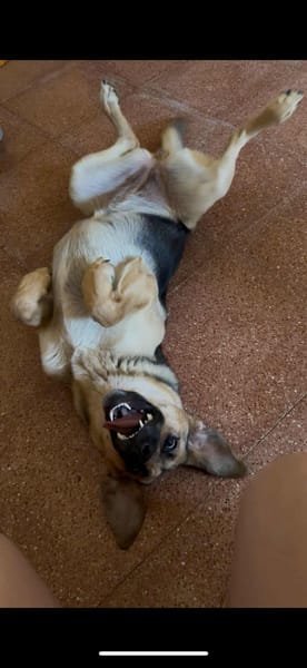 NALA (Rescate)