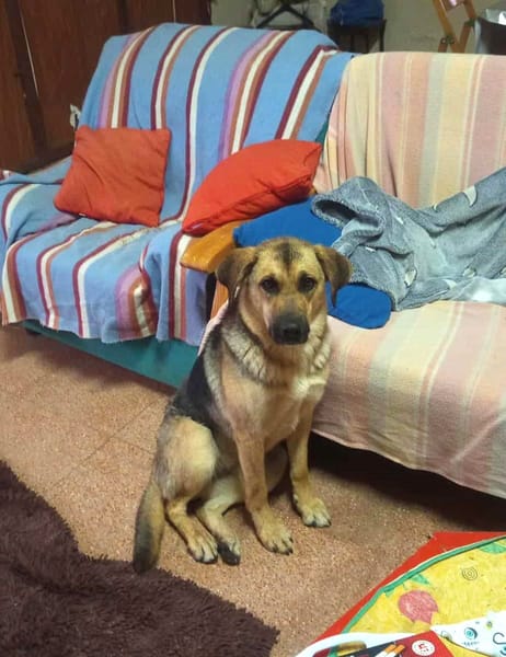 NALA (Rescate)