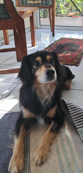 Pablo
