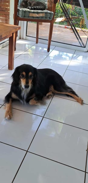 Pablo