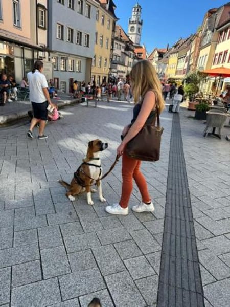 Mister Berci, offener Knuddelbär, ca. 1J