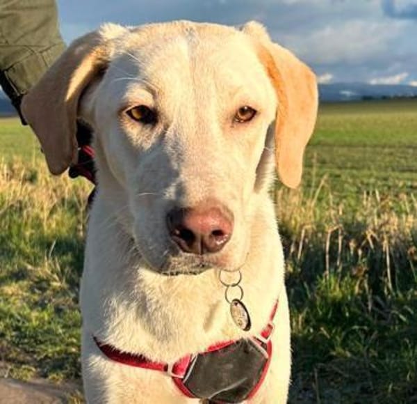 Filippa braucht eine Aufgabe