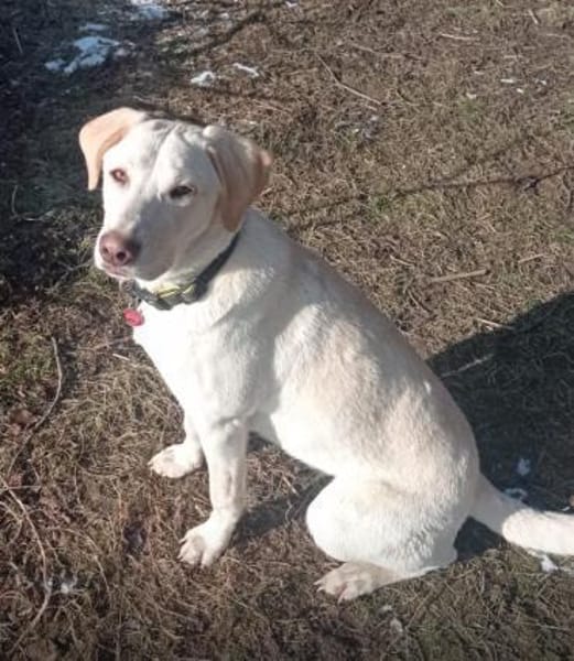 Filippa braucht eine Aufgabe