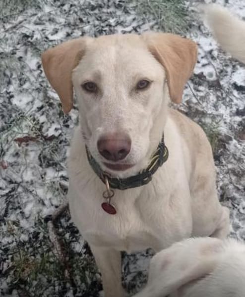 Filippa braucht eine Aufgabe