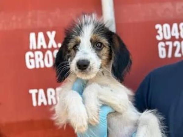 ISA - die Kleine sollte sterben