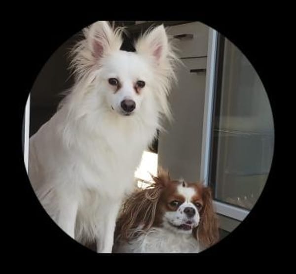 Dave wünscht sich eine Familie