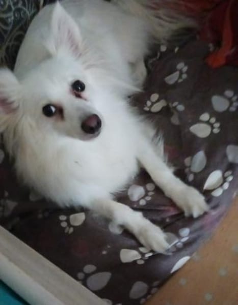 Dave wünscht sich eine Familie