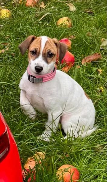 RENCO - sieben aus dem Fischernetz