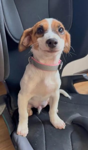 RENCO - sieben aus dem Fischernetz