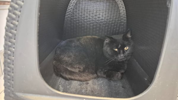 SALEM