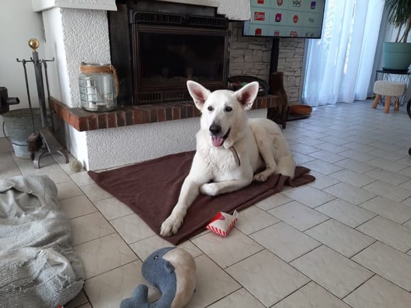 paquito