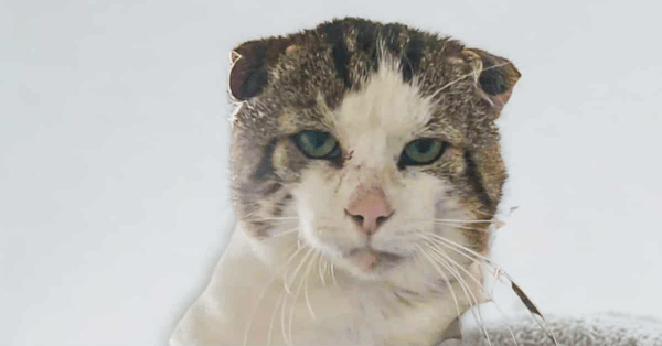 Zerathiel (réservé)