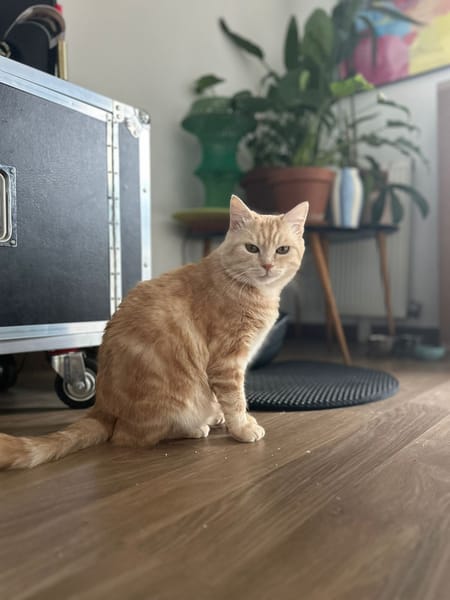 Walter