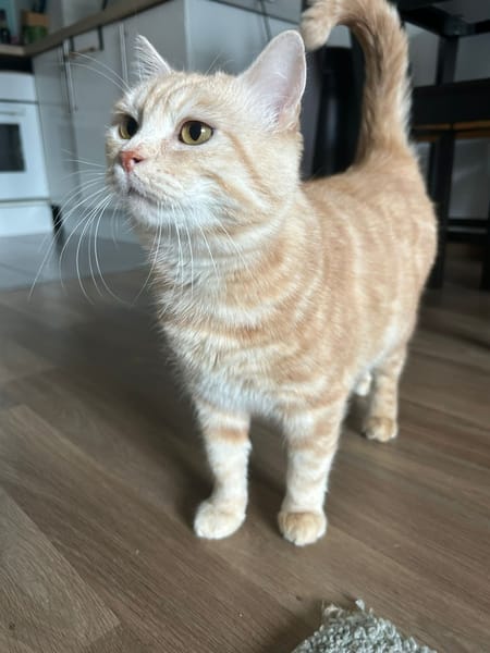 Walter