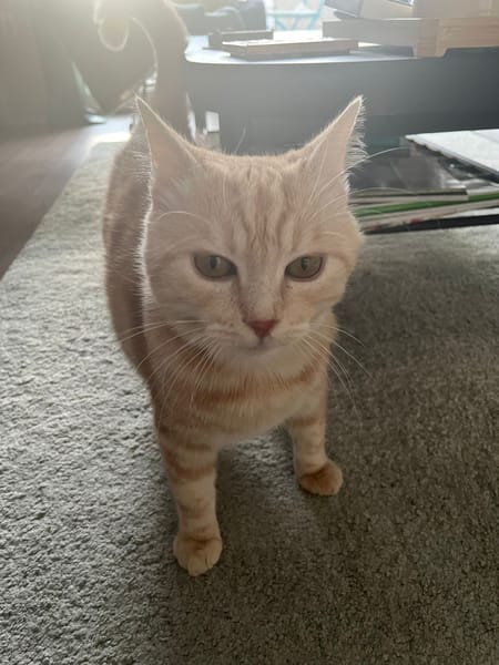 Walter