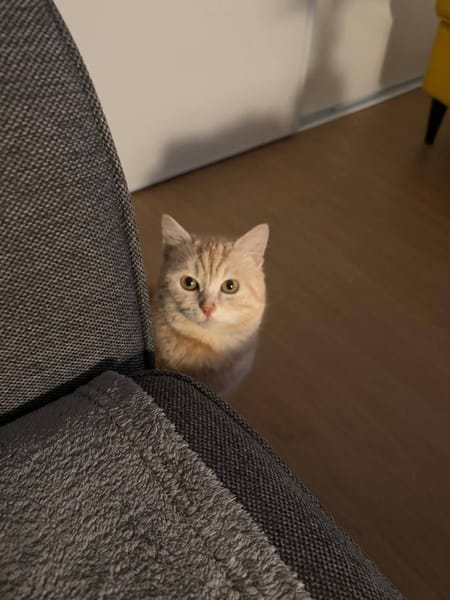 Walter