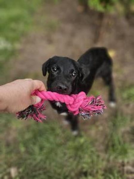 Chico sucht sein Happy End