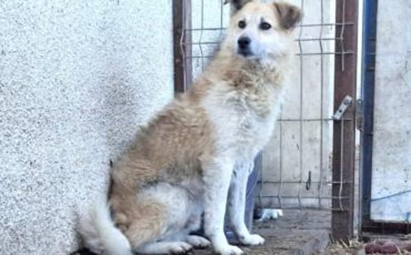 Zeigst du Thanos ein schönes Leben?