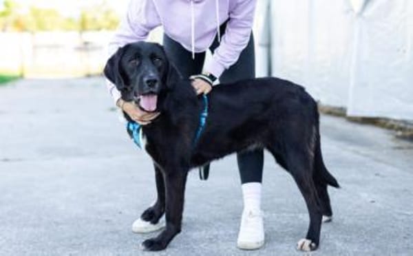 Jake Sully sucht seine eigene Familie