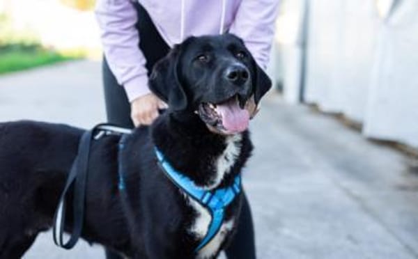 Jake Sully sucht seine eigene Familie