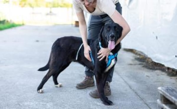 Jake Sully sucht seine eigene Familie