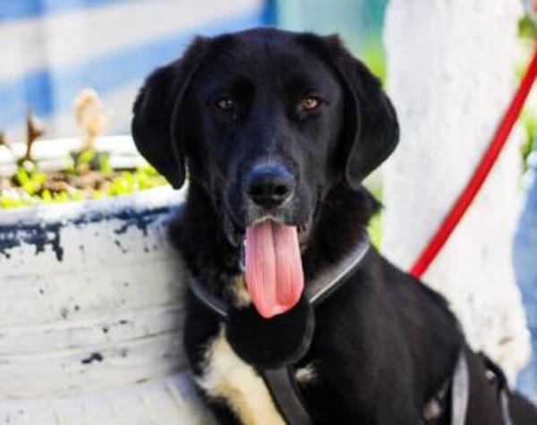 Jake Sully sucht seine eigene Familie