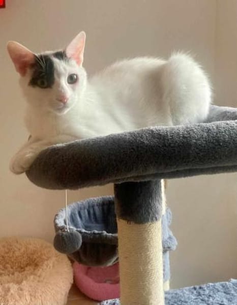 Penny und Pepe suchen ein Zuhause