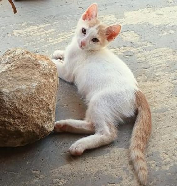 Kleiner Lukas entdeckt die Welt