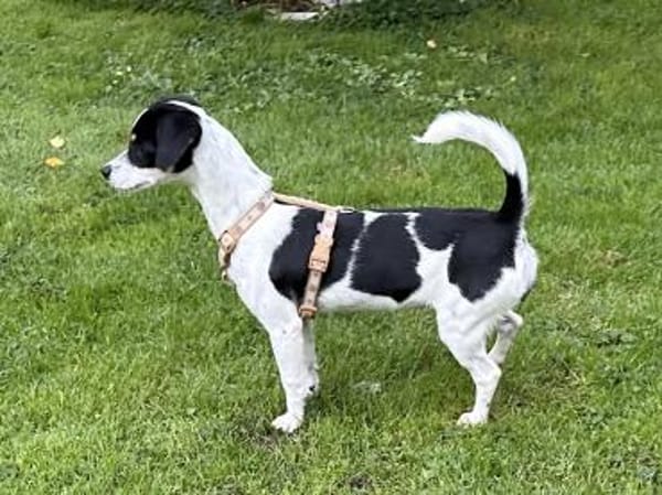 Süße Gianna sucht ihr Glück