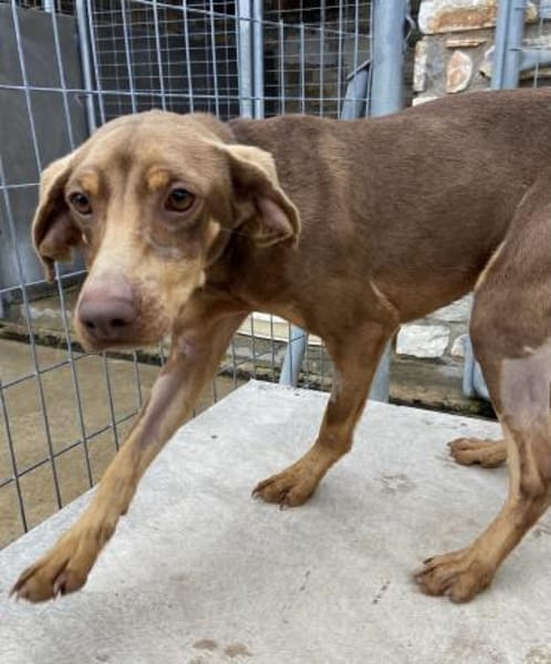 Zoe ist einfach nur lieb