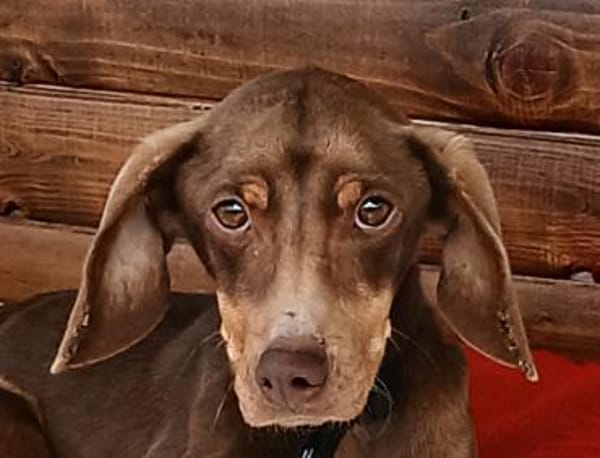 Zoe ist einfach nur lieb