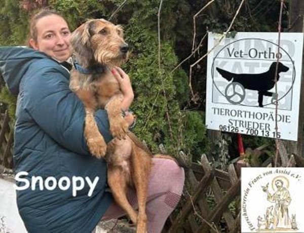 Rollt Snoopy ins Hundeglück?