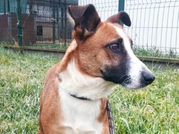 Kopè möchte ein Ticket ins Glück