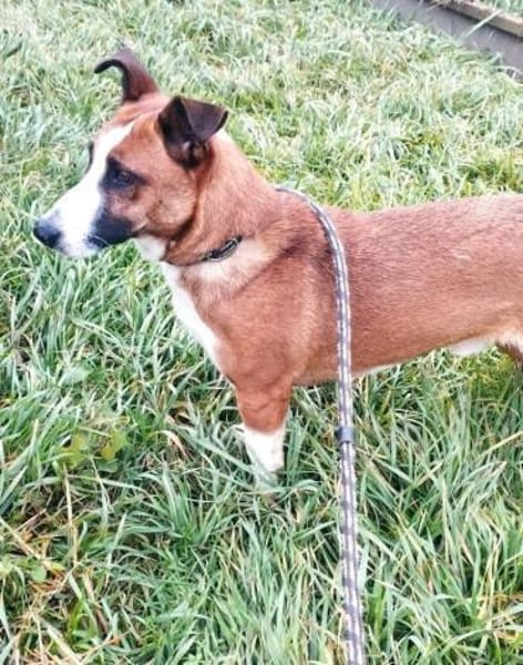 Kopè möchte ein Ticket ins Glück