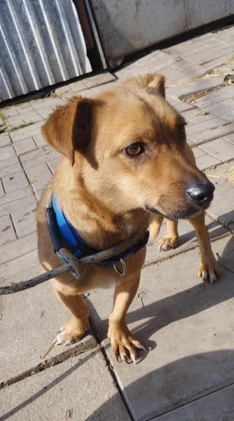 Morzi möchte endlich geliebt werden