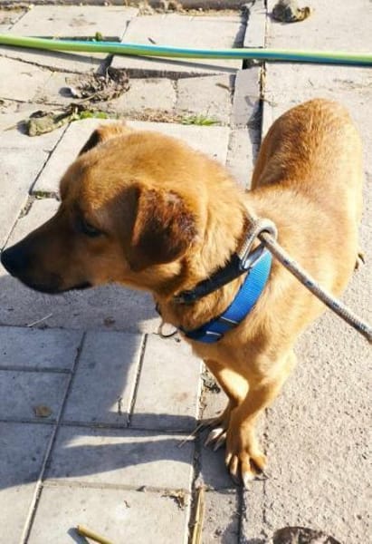 Morzi möchte endlich geliebt werden