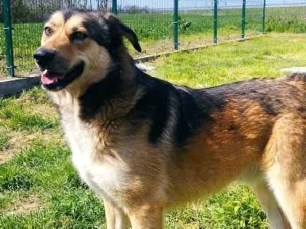 Thomas hatte ein schlimmes Schicksal