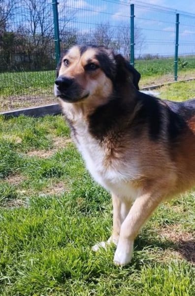 Thomas hatte ein schlimmes Schicksal