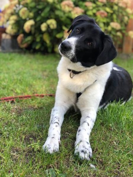Ella, 9 Monate, 60 cm, 28 kg