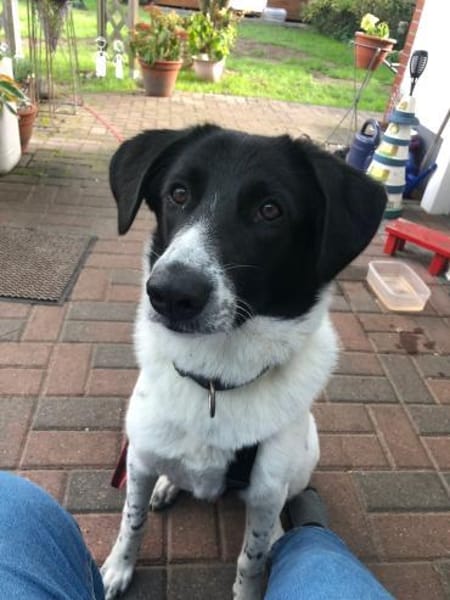 Ella, 9 Monate, 60 cm, 28 kg